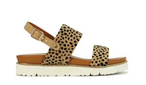 242145 Los Cabos Women's Cartia Cheetah Sandal