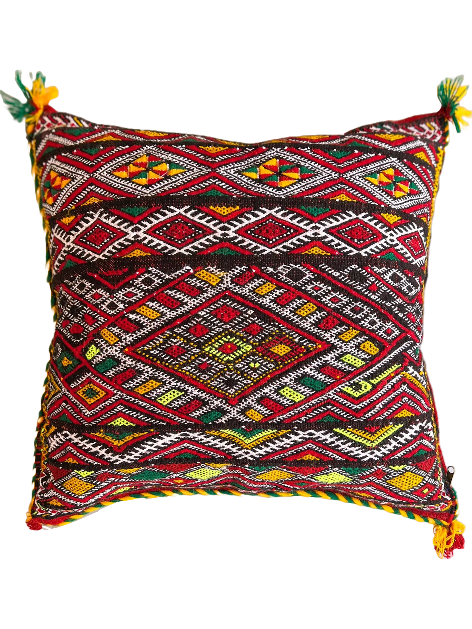 Ain Leuh Pillow - Florescent Paw