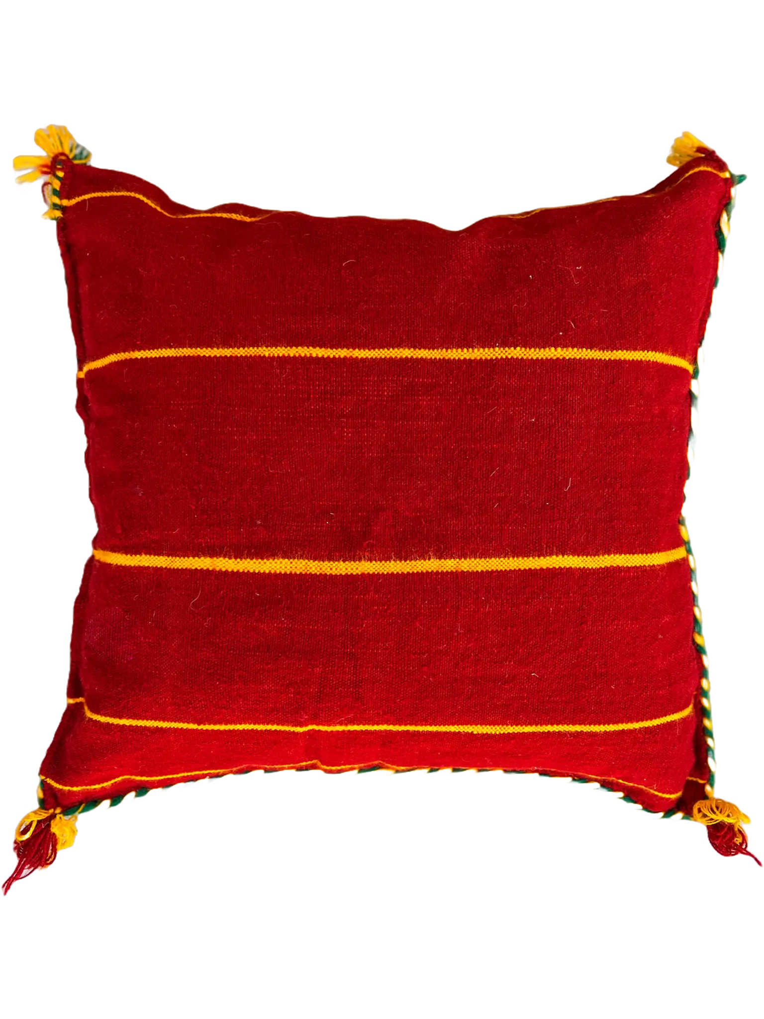 Ain Leuh Pillow - Florescent Paw