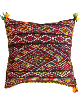 Ain Leuh Pillow - Florescent Paw