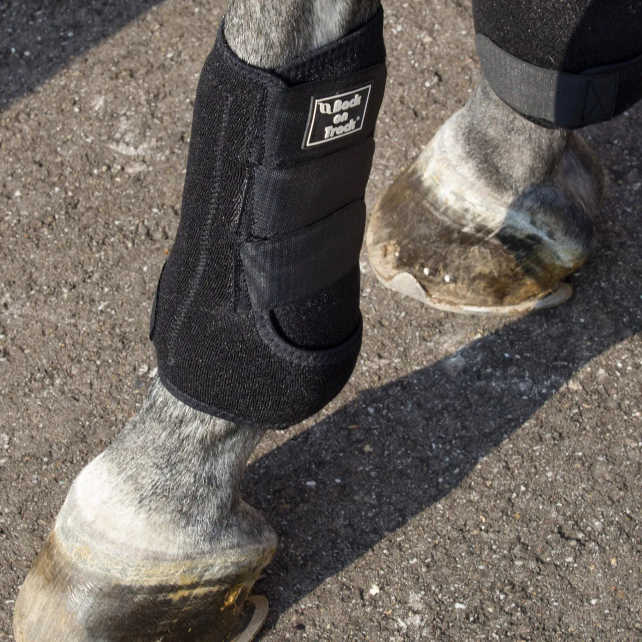 Back on Track Supreme Exercise Boots w/ Shock Absorbent Pad- Black
