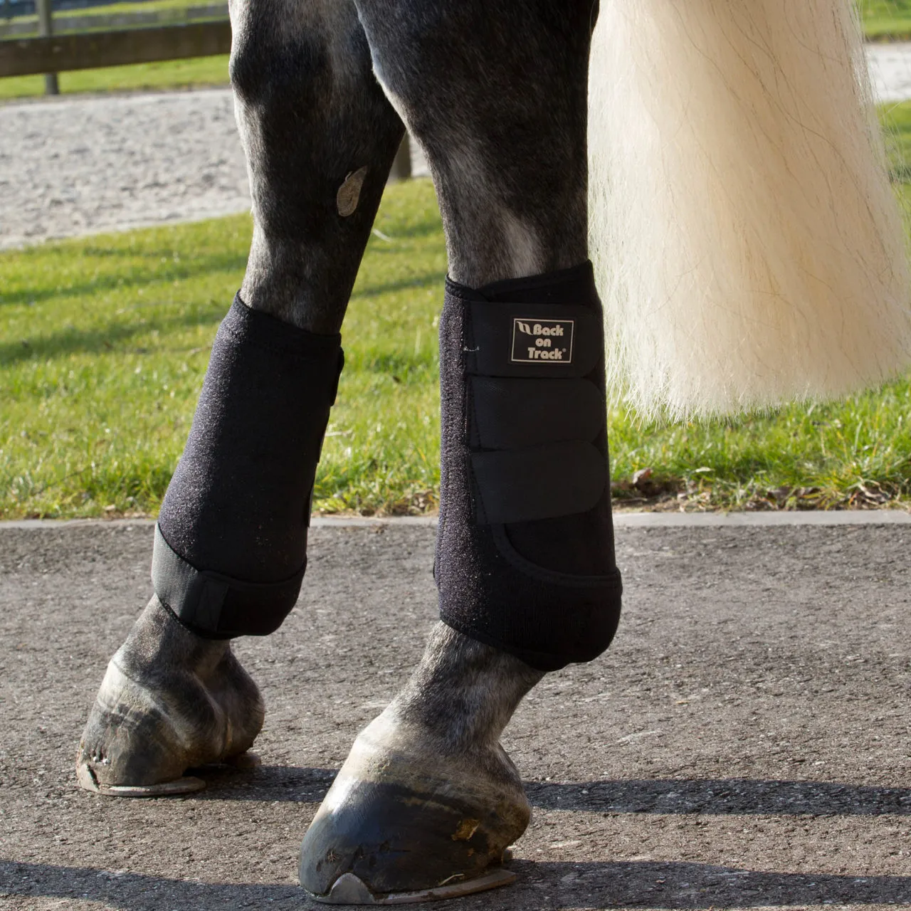 Back on Track Supreme Exercise Boots w/ Shock Absorbent Pad- Black