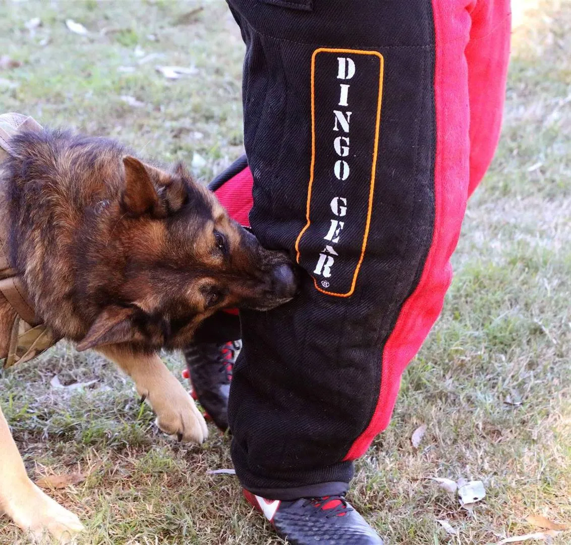Dingo Gear FULL-BITE Suit