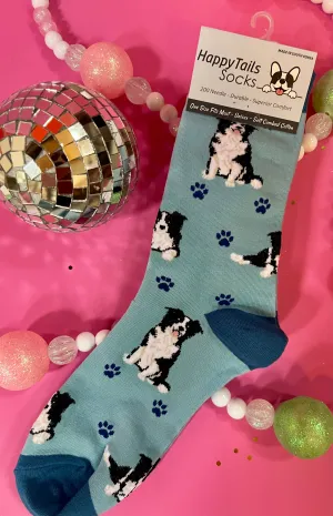 E&S Pets-Border Collie Socks