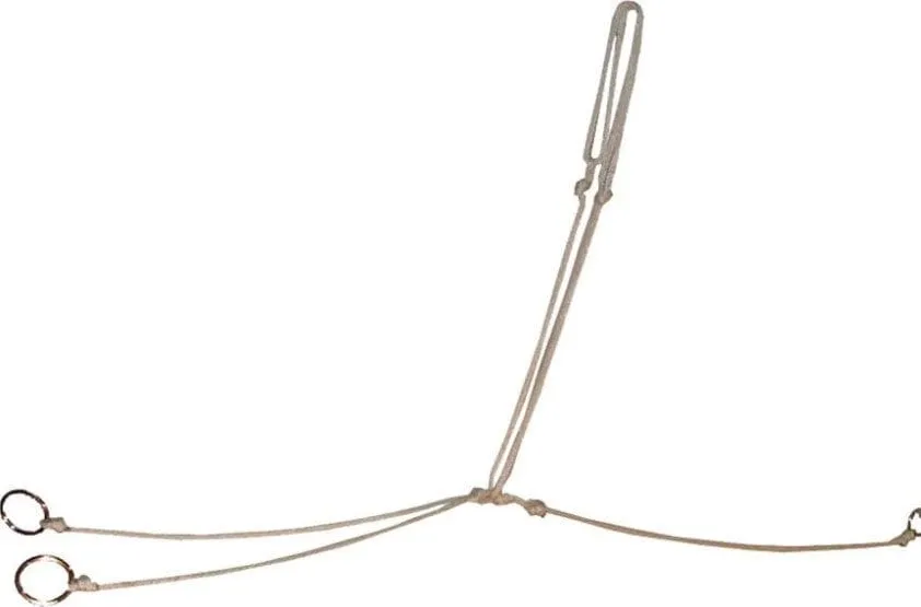 Ezy Ride String Martingale