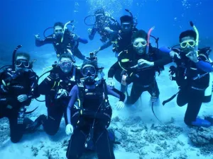 Learn to Dive