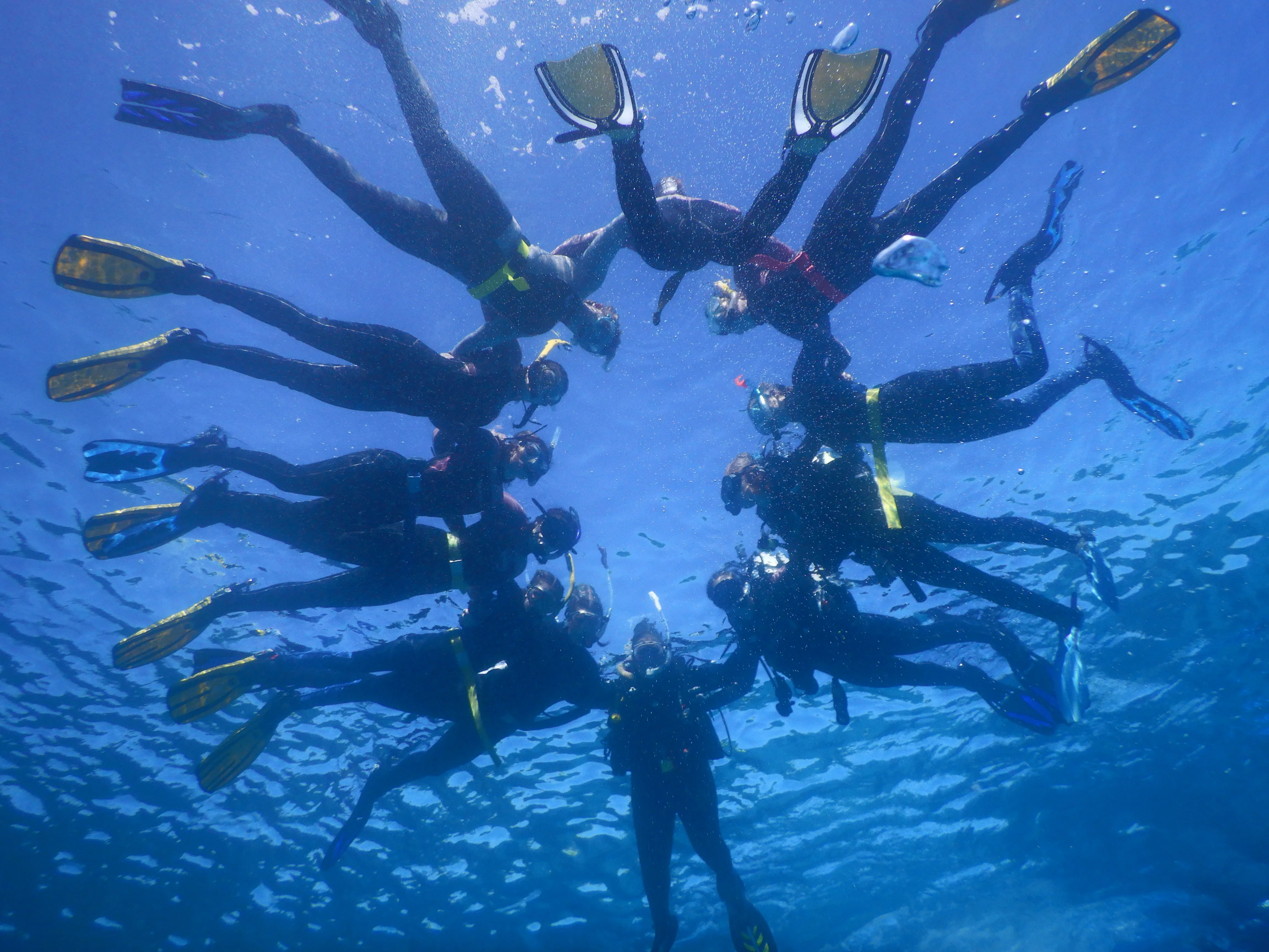 Learn to Dive