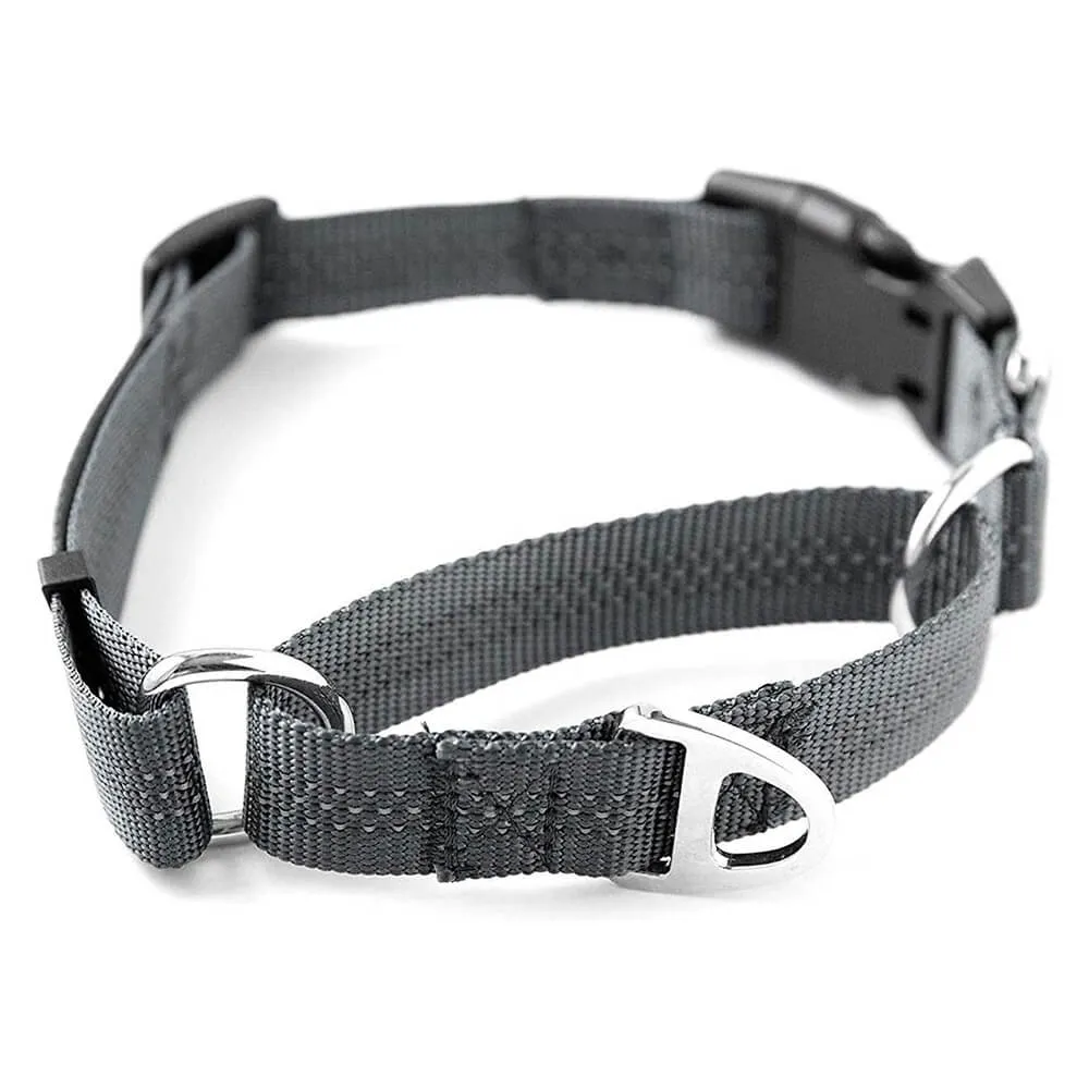 Mighty Paw Martingale Nylon Cinch Collar