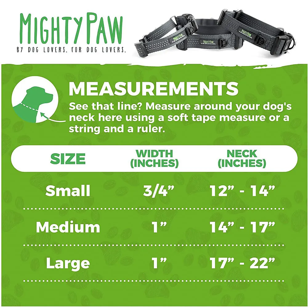 Mighty Paw Martingale Nylon Cinch Collar