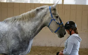 Monty Roberts Introductory Course of Horsemanship: 10 DAYS