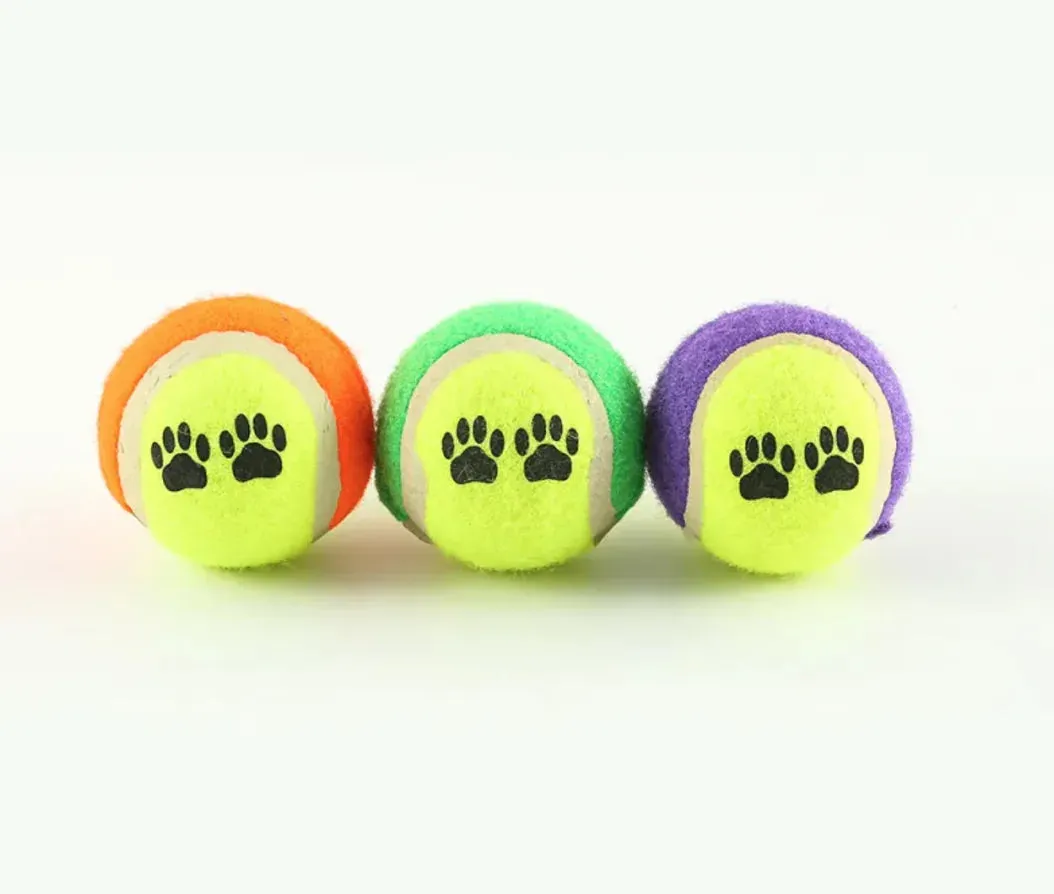 Outdoor Dog Training Throw Toy