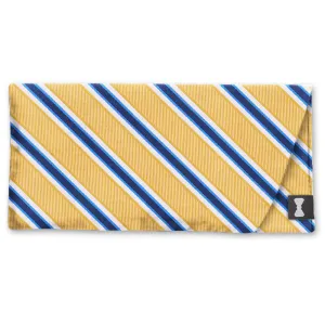 Riverside Gold - Eyeglass Cases