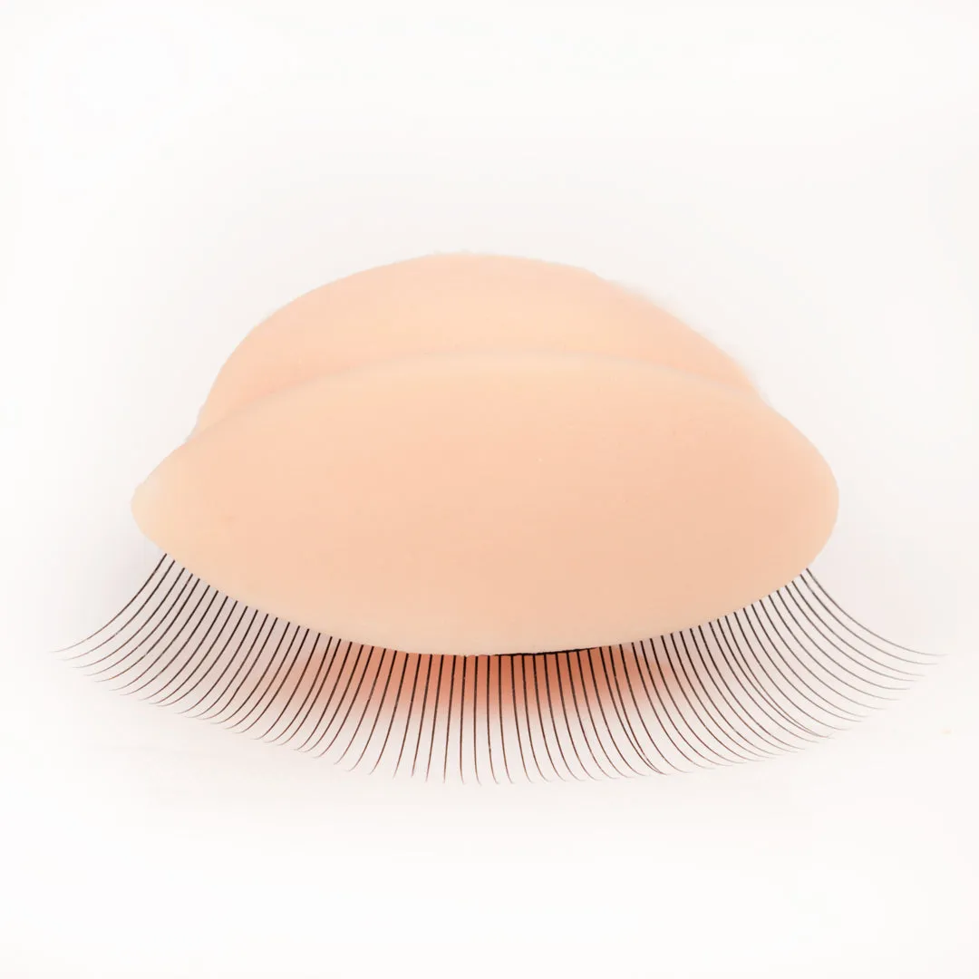 Training Eyelids