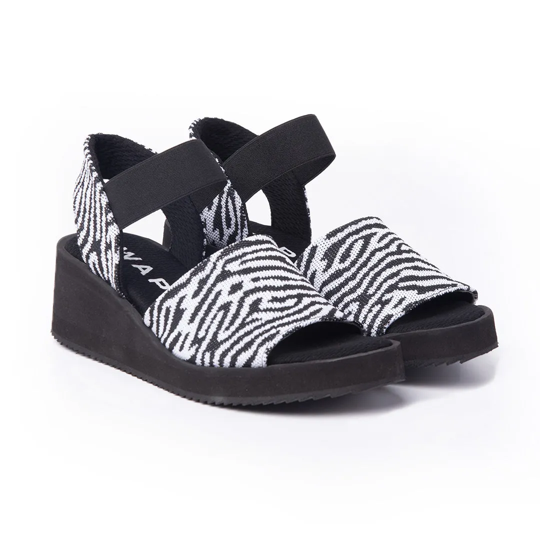 Zebra (MS)